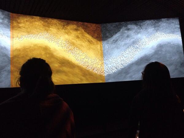 PhillyM_M's tweet photo. #dinosnores #wildlife sharing nature http://t.co/KI8tRiZcI7