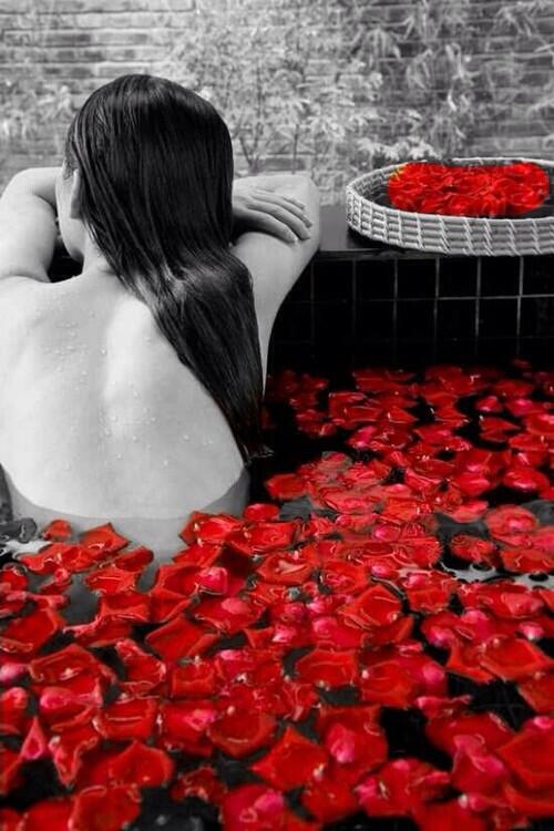 MojolsP's tweet photo. 🌹@MissAmelieRose http://t.co/A5BV5eyD8G" 
Relax