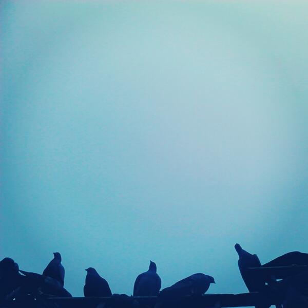 romil romil tweet media