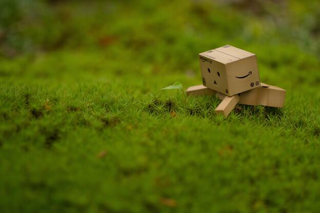 ダンボーと一緒 Danbotoi Twitter