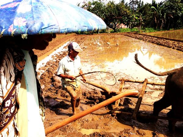 SignFound's tweet image. Farmers most likely the group of who suffer from climate anomali impact @ClimateGroup @UN_ClimateTalks #rainharvest