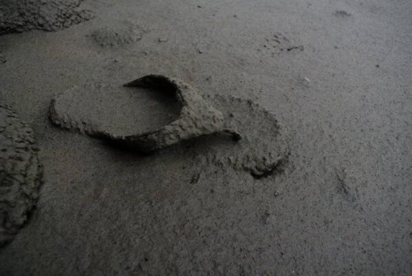 pak <a href="/SBYudhoyono/">S. B. Yudhoyono</a> ,bukunya udah launching kan?udah bisa nyariin yang terpisah di #Sinabung ini kan pak?