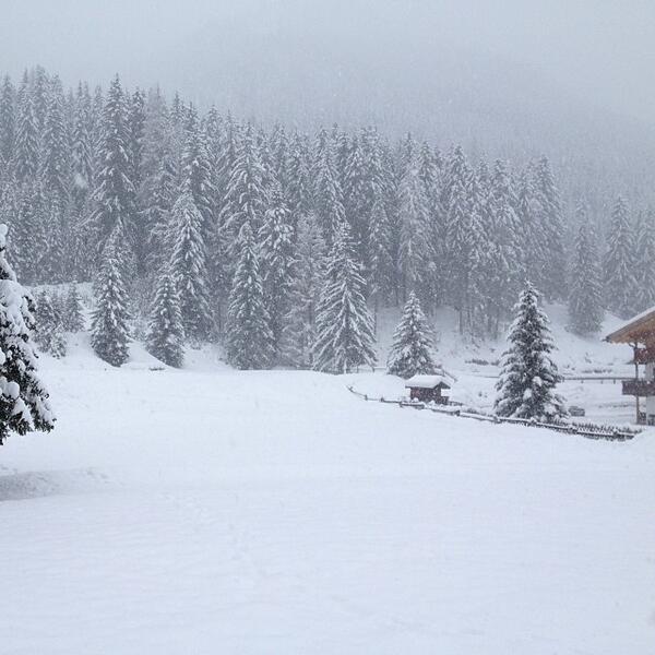 "Another powder day in the Dolomites" - photo by Francesco Eri #Dolomiti #Dolomites