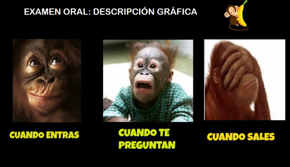 Juristanloqcido's tweet photo. Examen oral, descripción gráfica http://t.co/2409OD378R