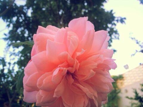 looly00921's tweet photo. ليسَتْ لِـ السَّعآدة أوقآتْ مُحدَّدة  نحنُ نَصنْعهآ إذا ف��منْآ الحيآة جَيِّداً💕 http://t.co/FSjUbChS18