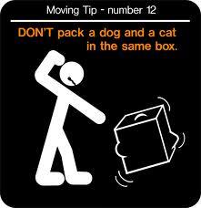 ExpressMovingSD's tweet image. 