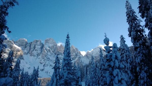 Snow wonderland with view on Pale di San Martino - photo by Matteo Tesser #Dolomites #Dolomiti <a href="/mattteot/">matteo tesser</a>