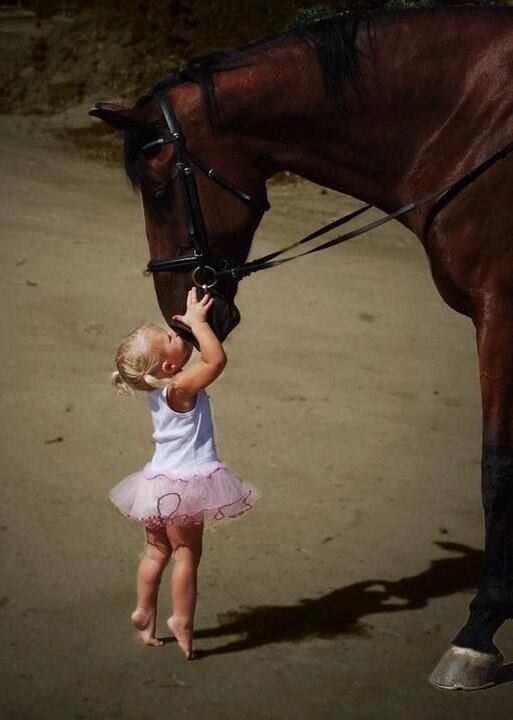 gede_prama's tweet photo. Kindness, the best poetry that ever written @yogsrana: http://t.co/wL8cvbQkkJ