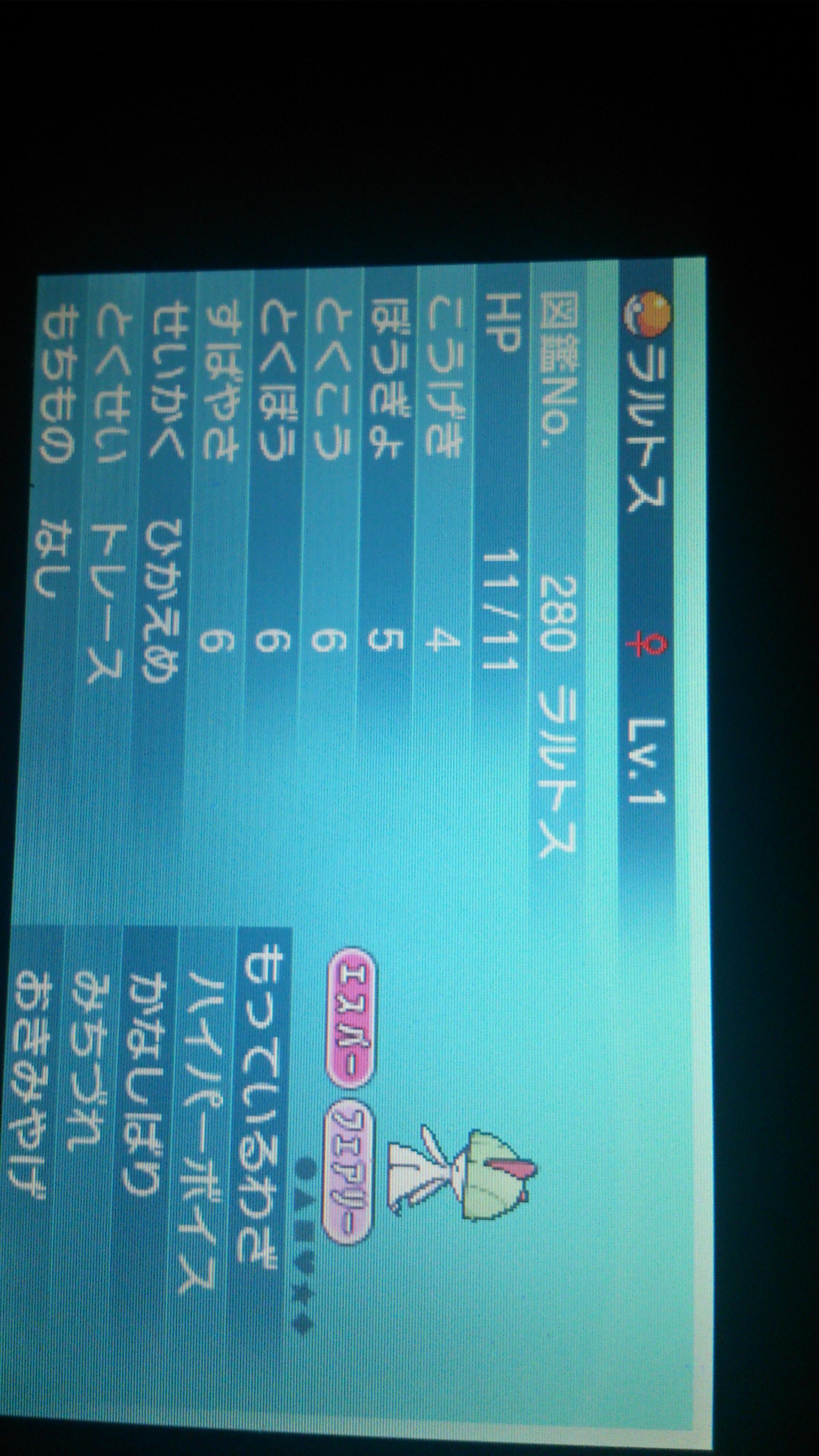 こすネコ 5472 8034 5903 Poke 1oo3 Twitter