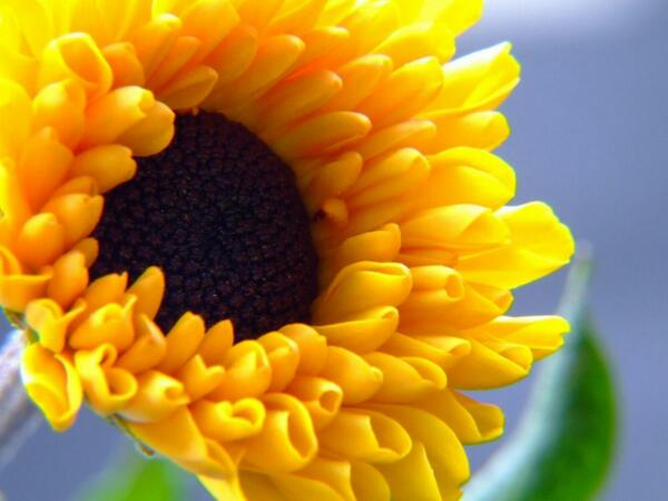 yousevsa1a's tweet photo. http://t.co/pUu5DK5Pm9