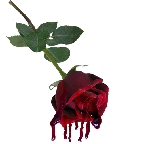 не смолкающий гул