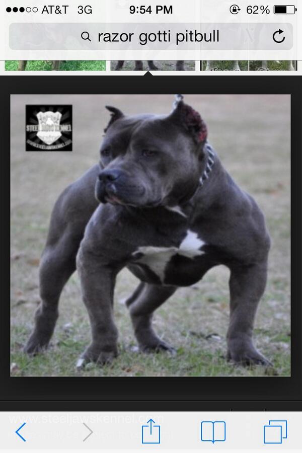 TuRn3r_WDE's tweet photo. #WhatMenWant @MenWantItNow ! I would so kill for this dog!!😈👌 http://t.co/CIGHUhf5el