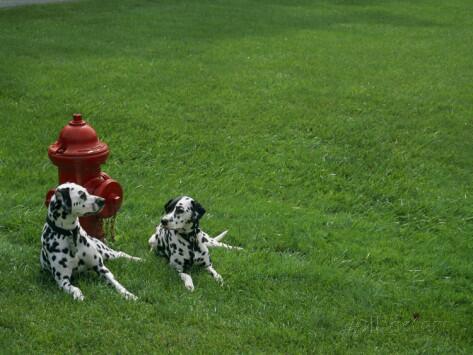 Rawtopia's tweet image. Electricity? Biology? Seems to me it's progeny! #RUSH @DailyRushFix @NeilPeartProbs @DailyRushLyrics @Rushfanproblems