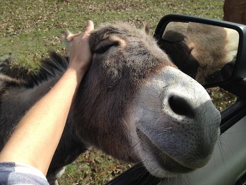MejoresTwits's tweet photo. Yo cuando me acarician el pelo JAJAJAJAJA http://t.co/E3zUeuJ9qr