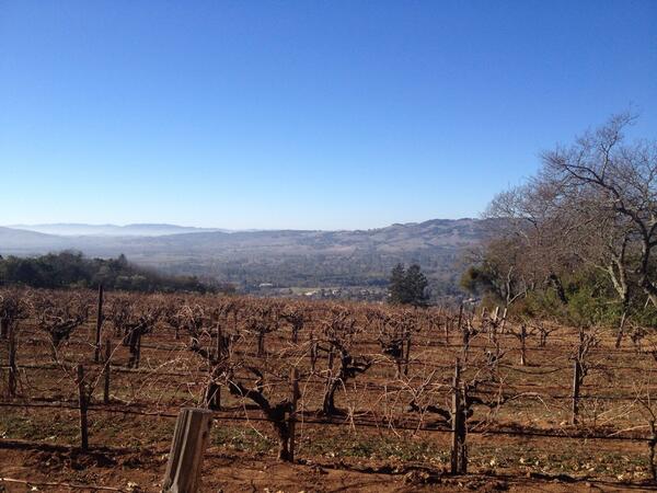 FruitForward935's tweet photo. Breathtaking Views and to die for Sebella Chardonnay at Hanzell Winery grab a glass of the best Chardonnay in Sonoma http://t.co/Fw5agLlmMJ