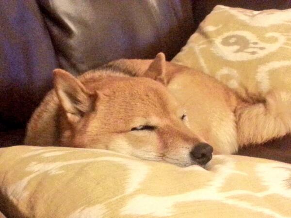 Everyone is playing TitanFall and I'm just over here wallowing in anguish. <a href="/Respawn/">Respawn</a> do you have a spare code please?