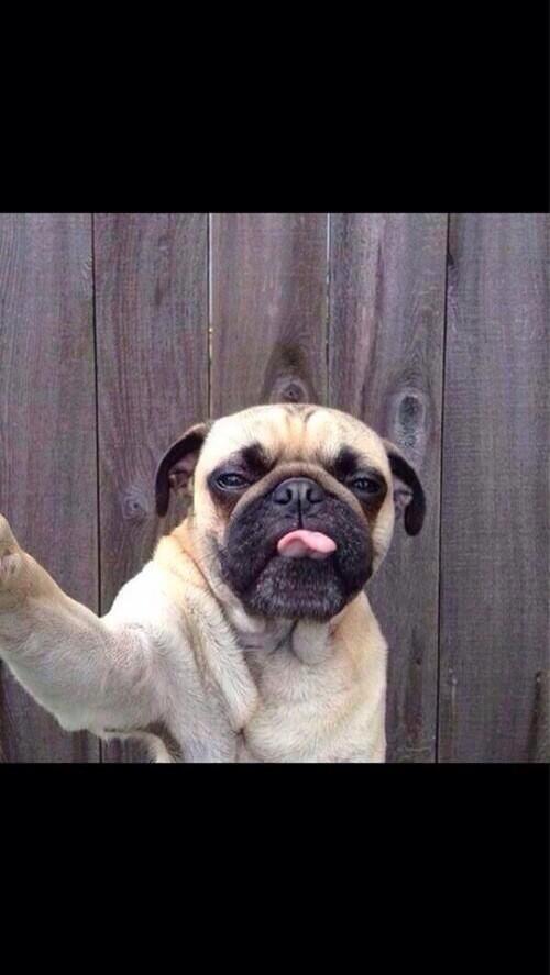 #Selfie