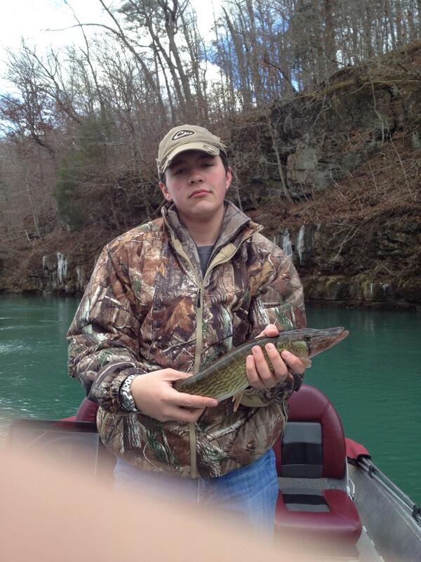 williamduces's tweet image. #pike #fishraw #fishlth