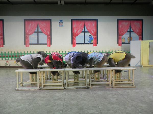 2013monkey's tweet photo. 안녕하십니까 형님(덩치)~ 오늘도 멋지게 공연하장께요~ http://t.co/KcbkiR0aeO