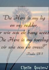 In_Afrikaans's tweet photo. God is A M A Z I N G http://t.co/Afu8nzWw31