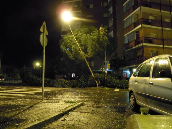 Waterlord's tweet photo. Imágenes de las consecuencias del temporal de viento en Huelva 3 Setos y farola en c/ Galaroza caidos #TemporalHuelva http://t.co/bC0YqTrsvd