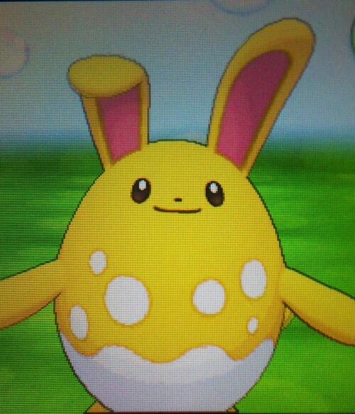 Misty_Though's tweet photo. RT for a chance to win a shinny 5 iv azumarill!! Giveaway ends tomorrow http://t.co/l46PpxGnW9
