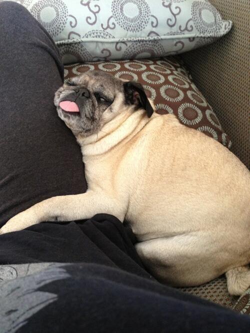Glbcryptounion's tweet photo. me right now http://t.co/zCW99eWFSG
