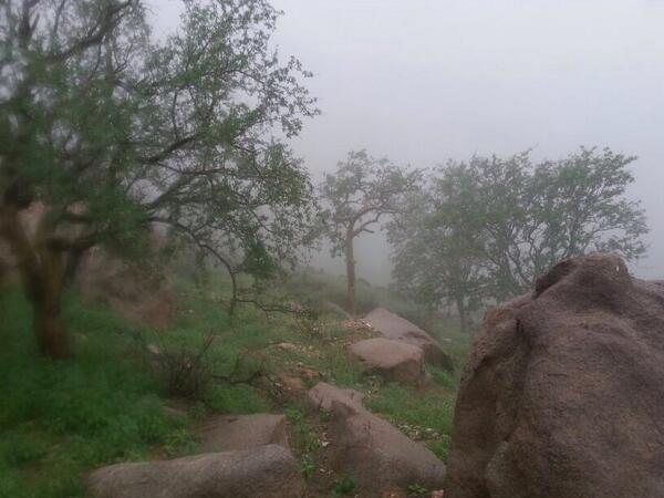 Etiqueta الطلاليع Al Twitter