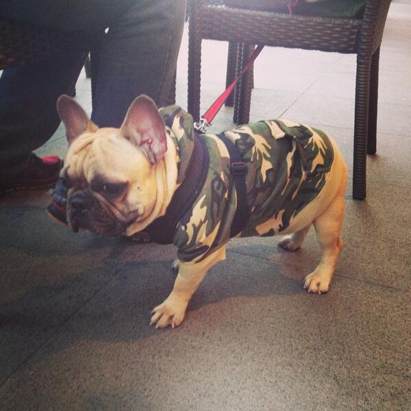 My hoodie is justified today. Can you see me? #ootd #camo
