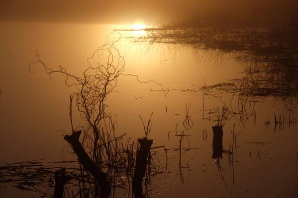 Sunrise on the Clyst this morning. Beautiful.