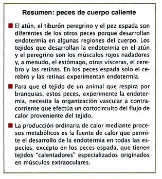 ¿Quién dijo que todos los peces son poiquilotermos?  Fuente: Fisiología Animal - Richard W. Hill,Gordon A. Wyse
