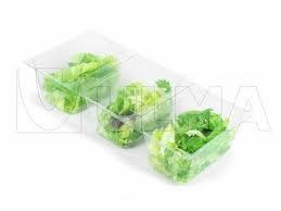 GreenyBurney's tweet photo. thank you @rinakania for ordering this lettuce,, hope you love the package and keep healthy in your hectic activity http://t.co/gb54i6QGby