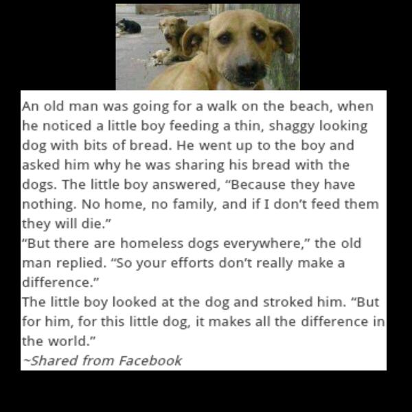 RiRi94x's tweet image. Love this &amp;lt;3 #animallover