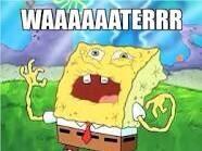 kayla_laforest's tweet image. all I can hear is Grace saying it @G_brown20 @RLDorsey14 @taylorvb15 #twitterlessRob