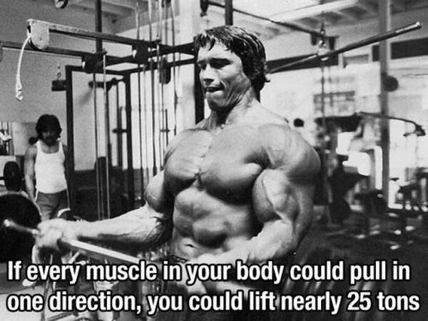 SupremeYo's tweet photo. This is crazy! #strength #arnie #humans http://t.co/eBvkbEIqoE