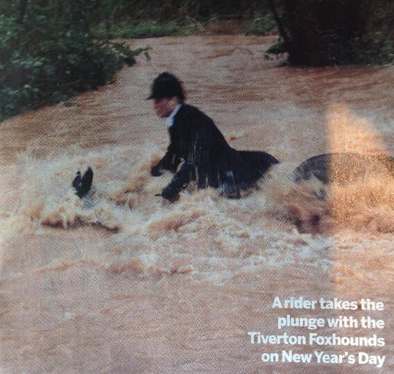 Tiverton FH: "It wasn't as deep as it looked. It was around belly height" (middevongazette.co.uk/Horse-ridden-r…) YOUR belly maybe!