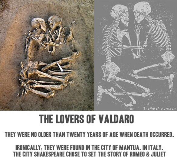 scottthomson23's tweet photo. The lovers of Valdaro http://t.co/Az9vEJVgm7