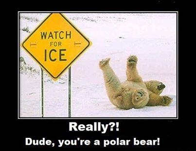 Canadians_'s tweet photo. http://t.co/hpZMlVX9oE