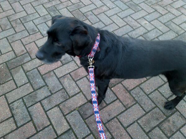 A new eager member of the team charming the voters!