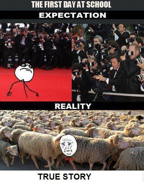 FunnyPicsOnly tweet picture