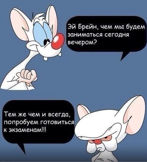 artiko_s's tweet photo. А Брейн правду говорит :С http://t.co/tqjjKiYPns