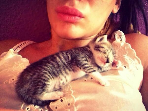 Dafnegrau's tweet photo. El amig mas fiel dl ser hman los animales☺️! #paris #perezosa @AlbaVargas23 http://t.co/J8po4HFzJT