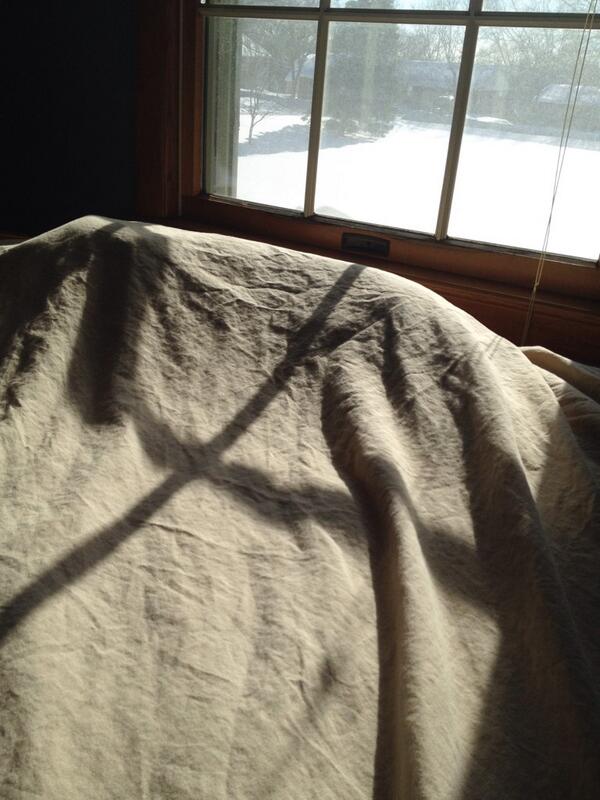 GibsonTheKitty's tweet photo. Guess where I am? 
#timetochangethesheets http://t.co/Bs8Jdejq1x