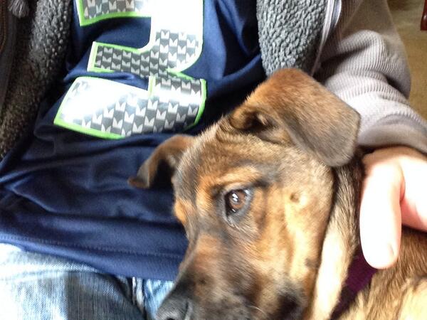 LachMurph's tweet photo. Seahawks Sunday http://t.co/RAMeQmT727