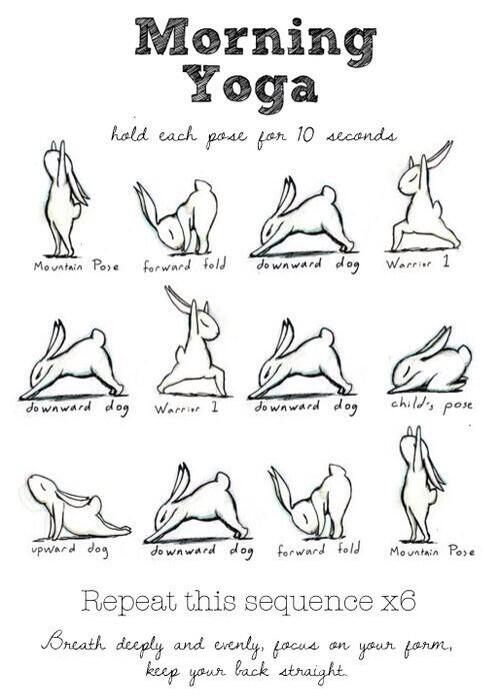 Nice!! "<a href="/fitoverloads/">fitness</a>: Morning yoga! "