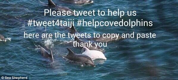 Please Help #tweet4taiji #helpcovedolphins 
Some new tweets pls copy and paste sites.google.com/site/taijihelp…