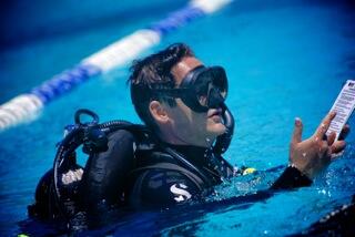 PADI's tweet photo. Looks like a great day! #livetoscuba RT @JimmyTraffic: just another day in my 'other' office @PADI #instructorlife http://t.co/y1FkBj9R26