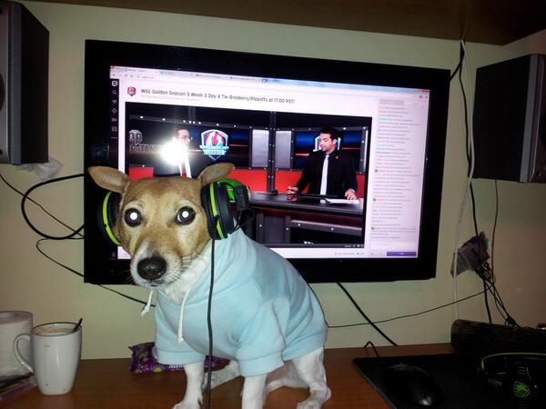 ALANgreece's tweet photo. @Producer_Shawn HEY how do i get the code i won ?? i am the guy with dogy:P http://t.co/cjHQvVnQeY