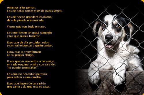 MNevadoUCV's tweet photo. @VillegasPoljakE @MisionNevado @cnevadoaragua @CNevadoPetare @NevadoElParaiso @CNevadoQtaCresp @CNevadoLARA SALUDOS! http://t.co/wEbBoeJUN3