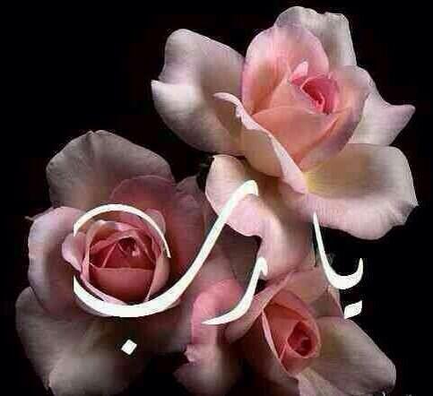 Khlifa65's tweet photo. http://t.co/0wK3UOKFpn